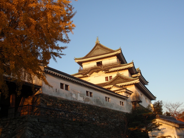 徳川御三家