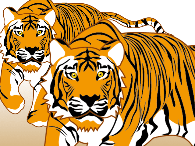 虎のイラスト