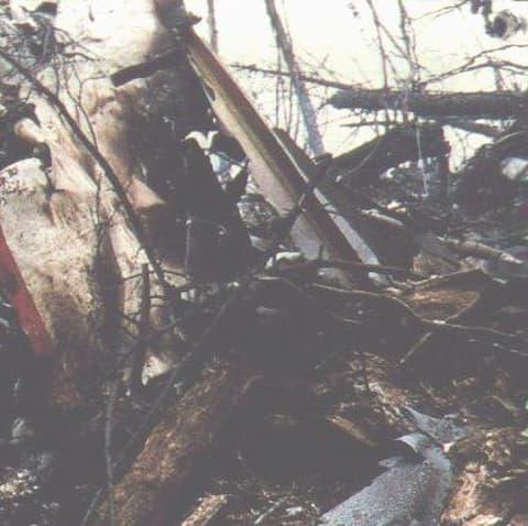 墜落した日本航空123便の残骸（出典：wikipedia）