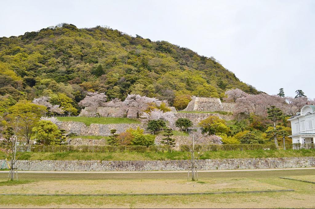 鳥取城の全景（wikipediaより）