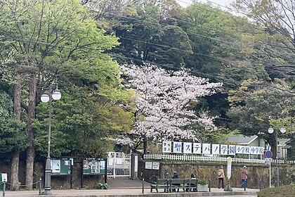 聖ステパノ学園小学校・中学校