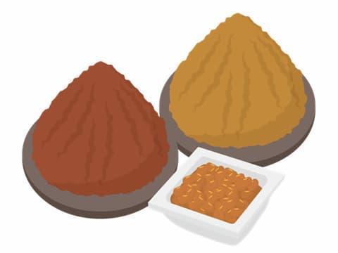 味噌イラスト