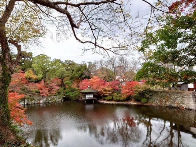 西の丸庭園