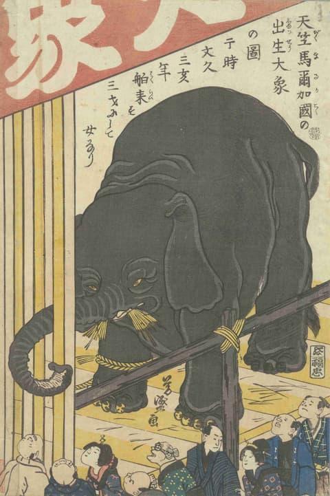 象の見世物を描いたもの(歌川芳盛画。出典:東京都立図書館デジタルアーカイブ)