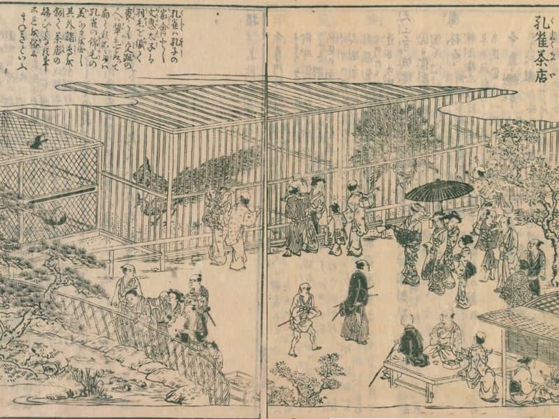 クジャクの見世物(『攝津名所圖會』より。出典:国立国会図書館デジタルコレクション)