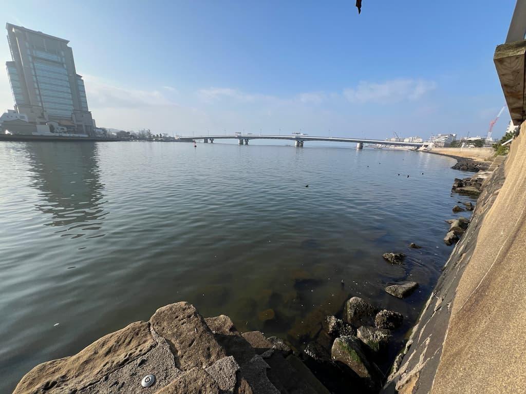 借家の裏からの眺め