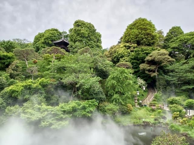 現在の椿山荘の景色