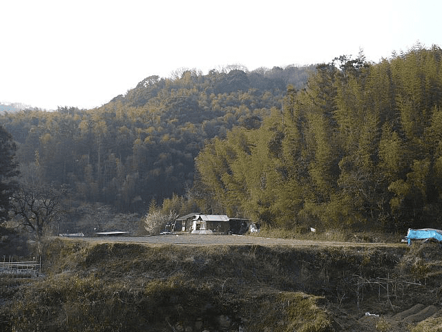 芥川山城跡がある三好山。細川晴元や三好長慶の居城として知られる。