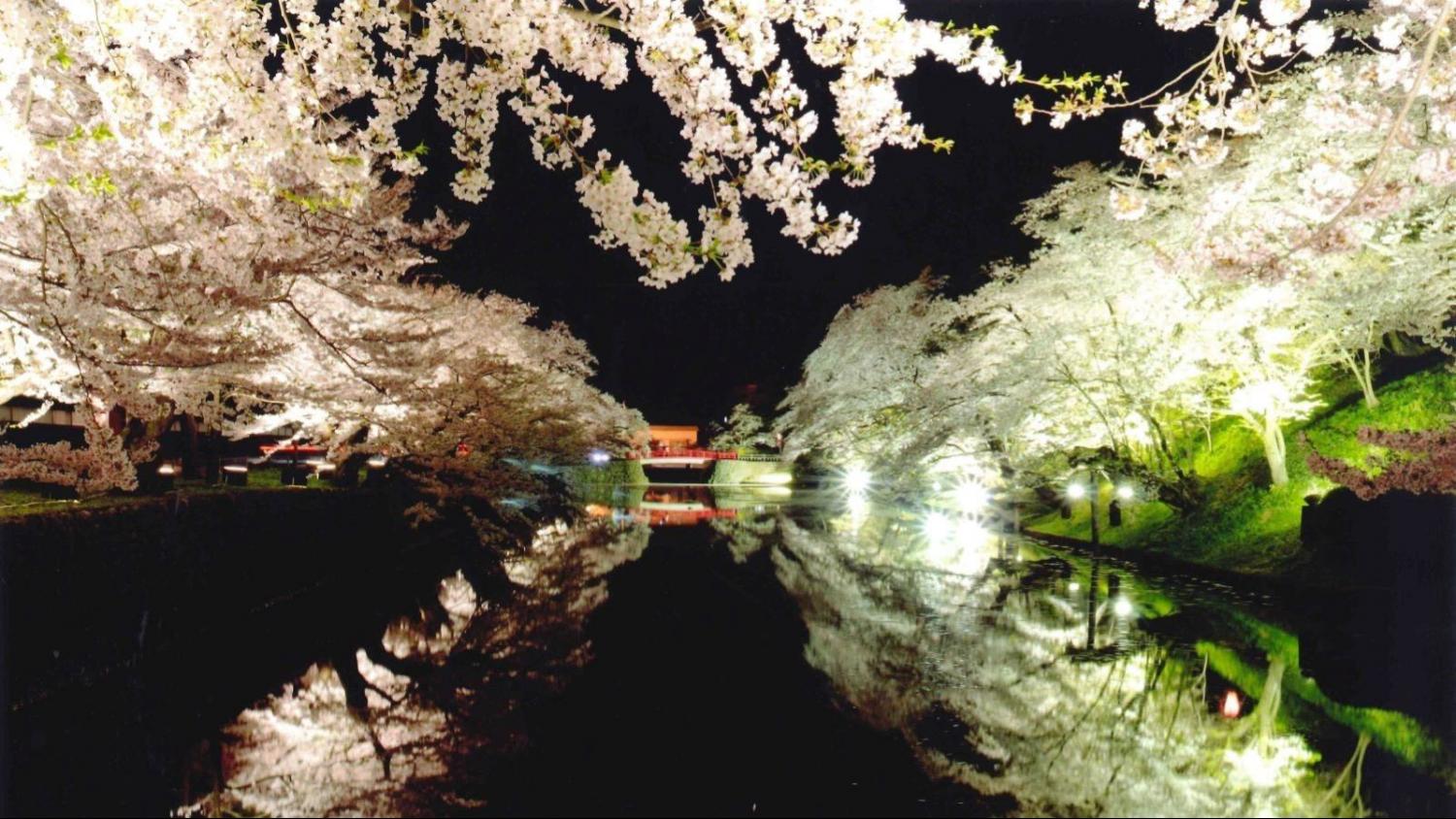 メンバー背景画像