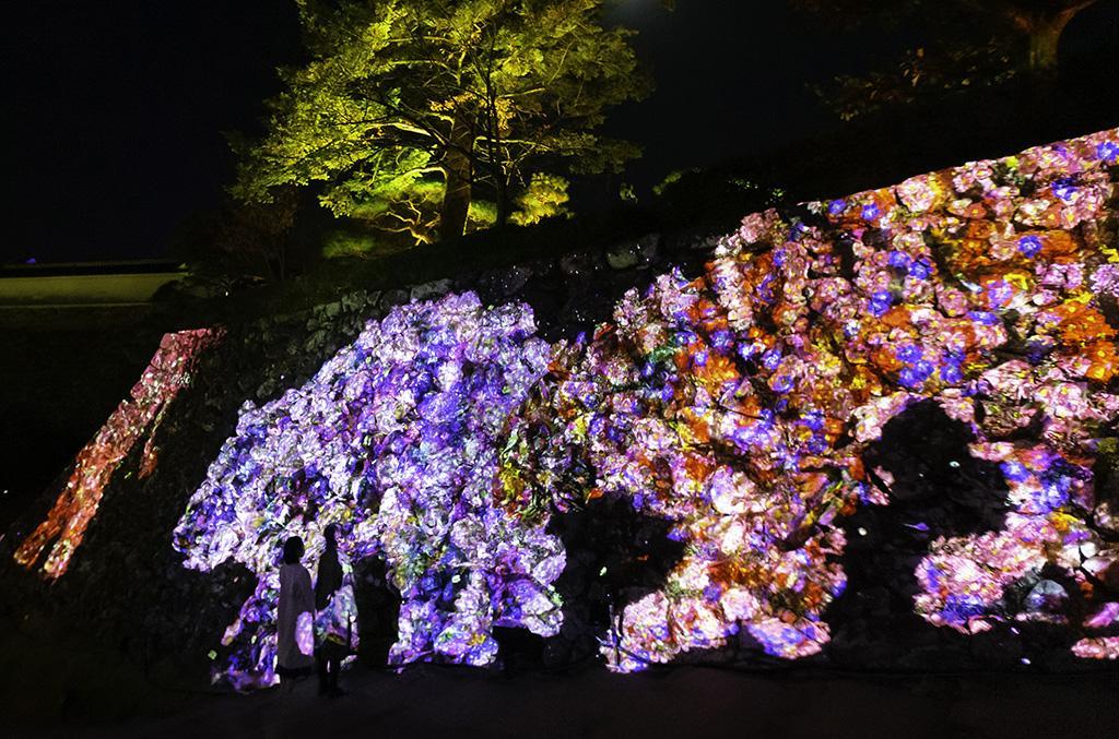 チームラボ《石垣に住まう花と共に生きる動物達》©チームラボ ※参考画像