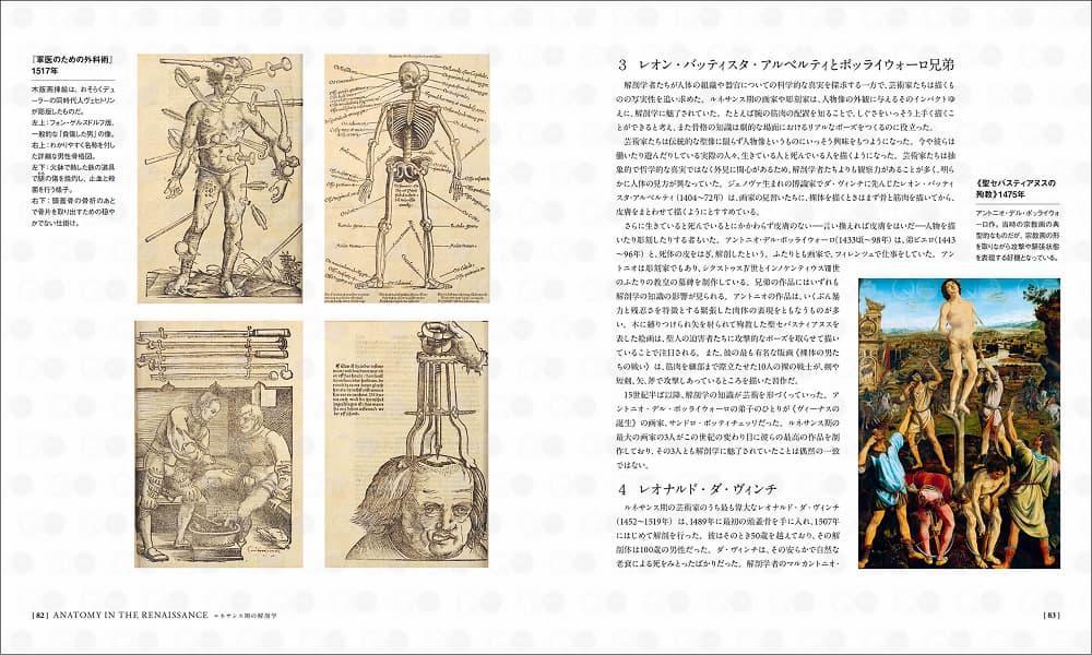 左「軍医のための外科術」木版画挿絵は一般的な負傷した男や、名称を付けた男性骨格図、鉄の道具での止血と殺菌、頭蓋骨の骨折の穏やかではない仕掛けなど（ルネサンス期の解剖学　1501年～1600年）