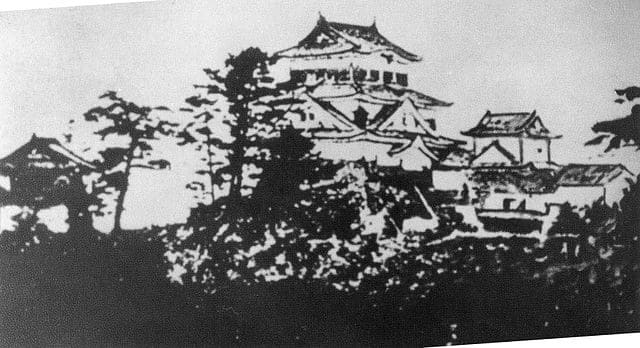 徳川家康が生まれ、「神君出生の城」と称えられた城は？